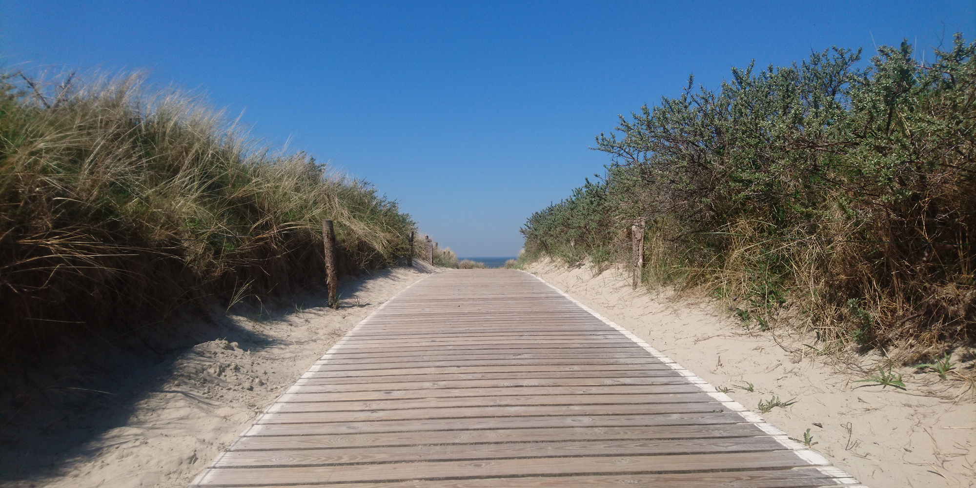 Mentalkickerin Birte Heß Kontakt